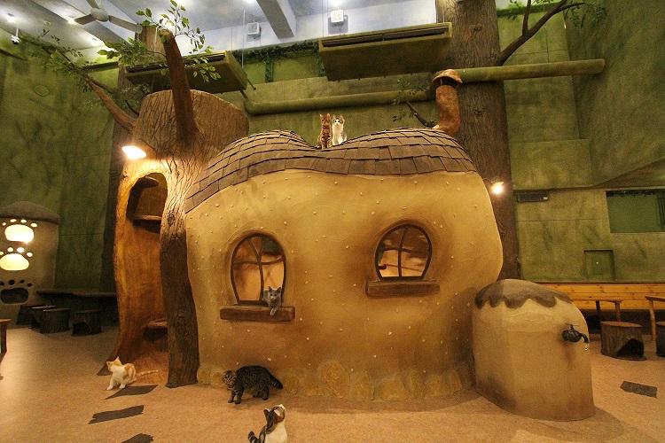 Temari no Ouchi Cat Cafe