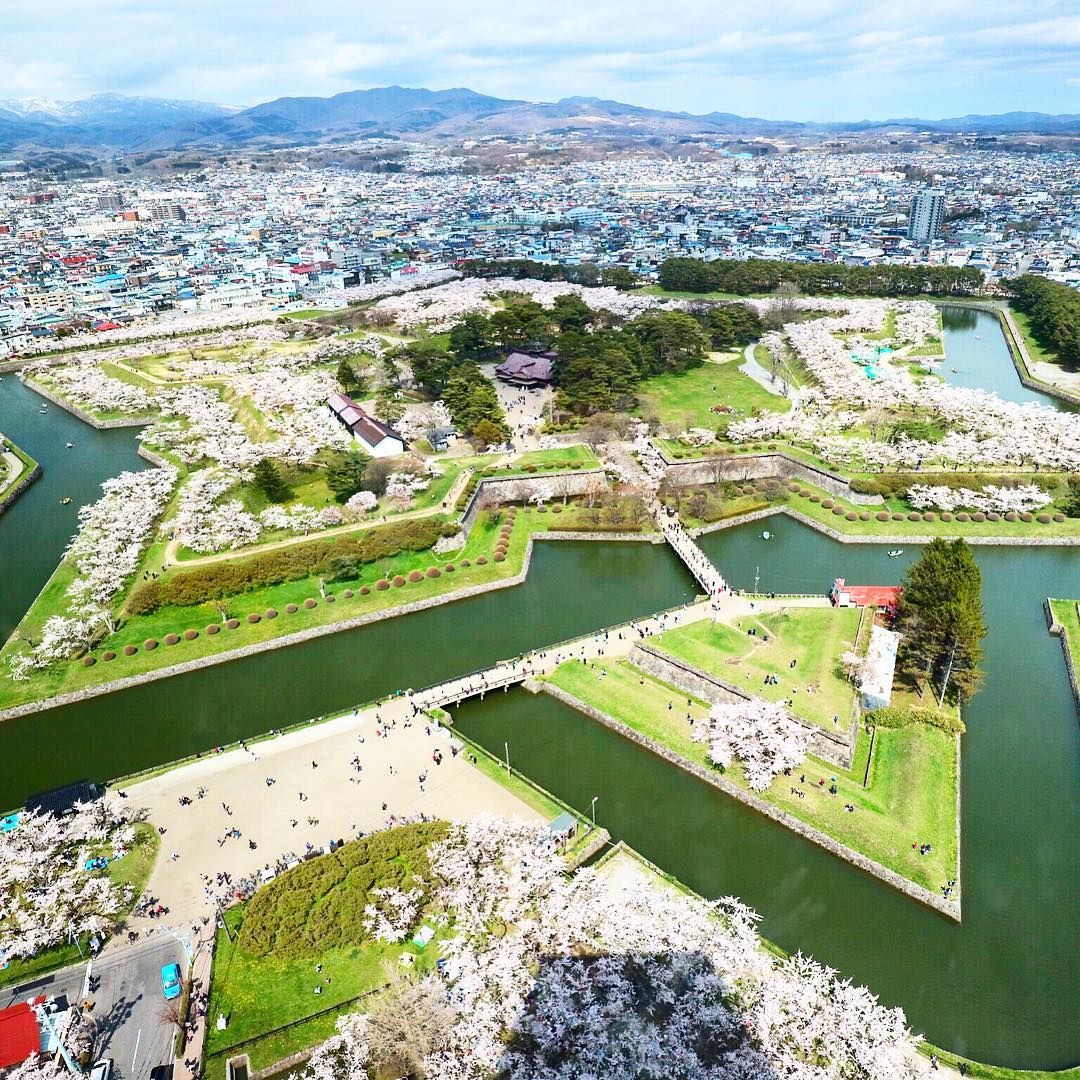 Tempat ini adalah salah satu yang terindah untuk menikmati bunga sakura di jepang!