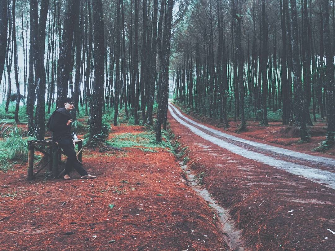 Wisata Top Selfie Pinusan Kragilan ini salah satu tempat wisata di Magelang yang cocok untuk berburu foto instagram by IG @ivan_jonadie