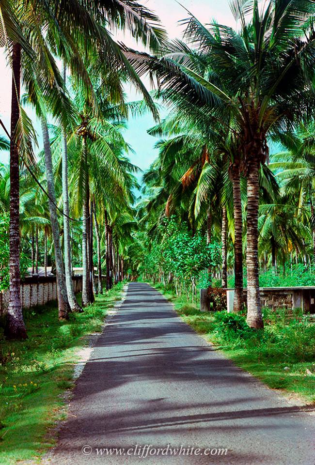 Tahu jalan Kartika yang sekarang selalu ramai, inilah waktu kana kirinya masih berupa perkebunan. Sekarang banyak ditemui hotel bermunculan di kanan dan kiri.