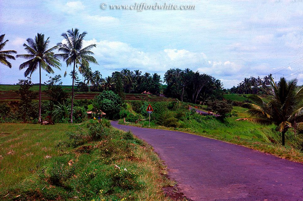 Ubud pada tahun 70-an masih berupa persawahan. Sekarang pun juga tak berbeda jauh, Sawah di Ubud masih bisa ditemukan dengan mudah
