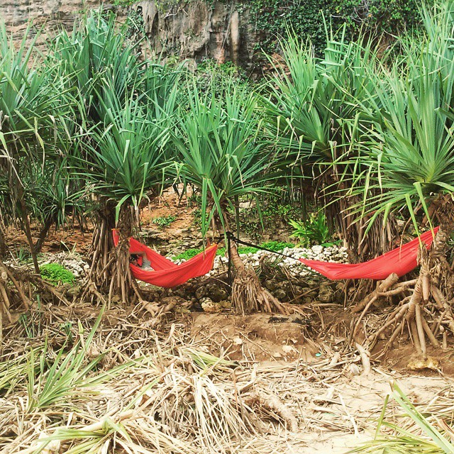 Kamu bisa bersantai dengan hammock seperti ini di Pantai Watunene Jogja! via IG @mayad3wi