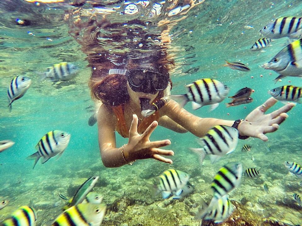 Siapa bilang di Jogja tidak bisa snorkeling! Itu artinya kamu belum mampir ke Pantai Nglambor! via IG @non_cindy_warwer24