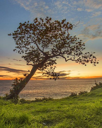 Suasana senja di Pantai Wohkudu ini sangat menawan. via IG @iwank_markzaid