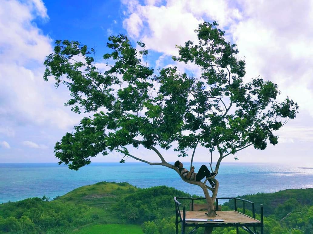 Di Pantai butuh ini pengunjung masih jarang, pasir nya pun putih alam, dan diapit 2 bukit yg di tumbuhi rumput. Cocok untuk yg mau camping mencari ketenangan jiwa. via @pantai.jogja
