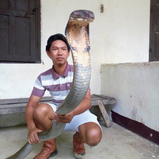 Tenang saja, kamu tak akan menemukan ular kobra di Pantai Kobra.