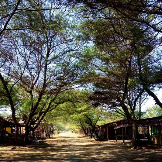 Wisata Kuliner di Pantai Baru Kuwaru! via @icannotknow