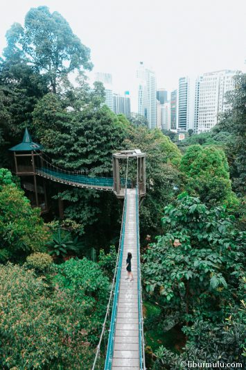 Kuala Lumpur Forest Eco Park cocok untuk kamu yang suka jalan kaki.