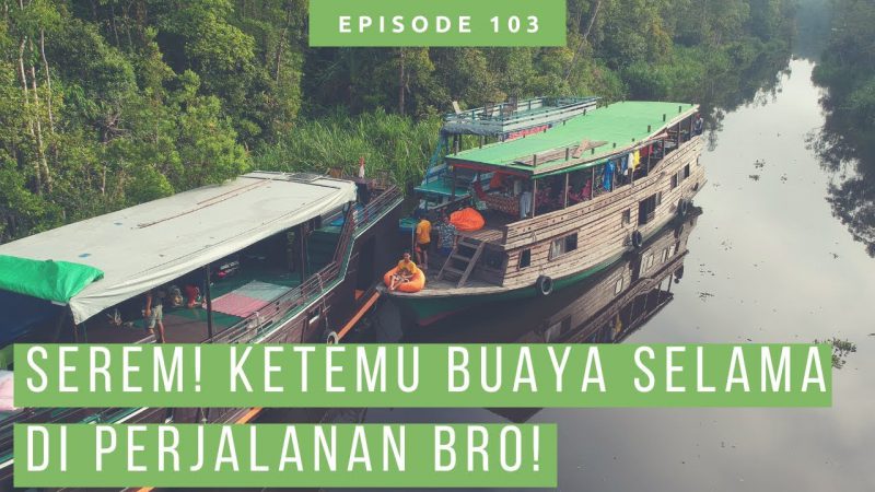 Apa Saja Yang Bisa Dilakukan Di Tanjung Puting National Park Ini? Apa Saja Yang Bisa Dilakukan Di Tanjung Puting National Park Ini?