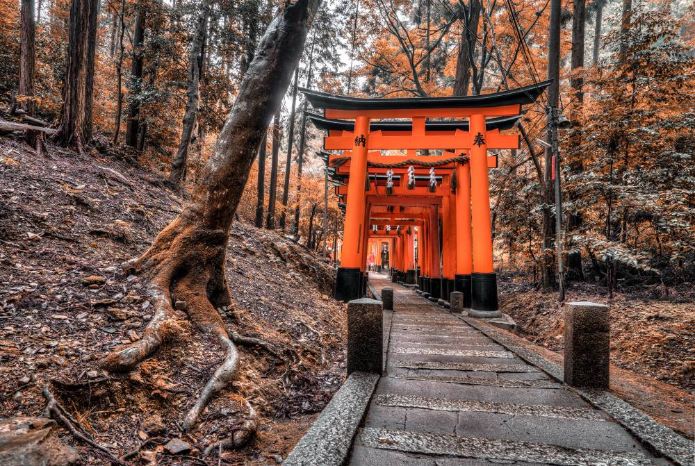 Gerbang Oranye Di Fushimi Inari Taisha Ini adalah Hasil Sumbangan Perorangan Gerbang Oranye Di Fushimi Inari Taisha Ini adalah Hasil Sumbangan Perorangan