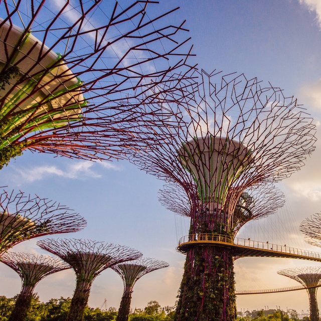 Gardens by the Bay