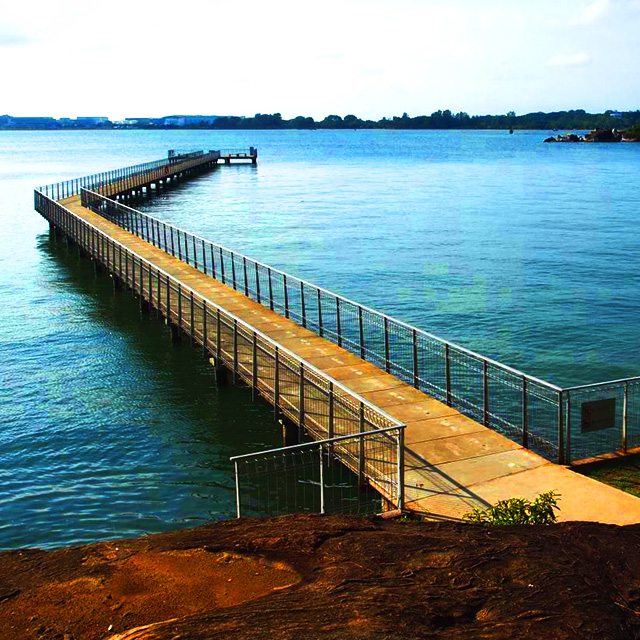 Chek Jawa