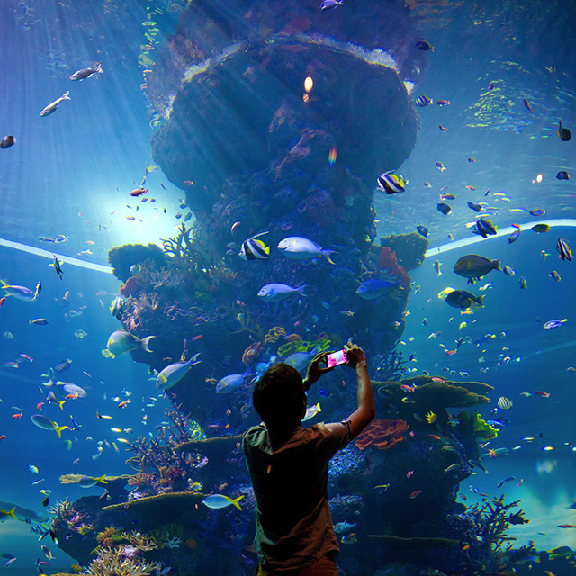 S.E.A. Aquarium™