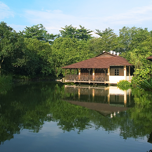 Sungei Buloh Wetland Reserve