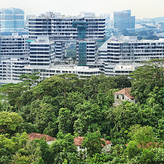 The Interlace