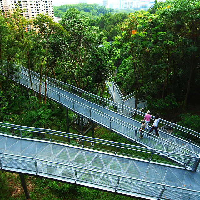 The Southern Ridges