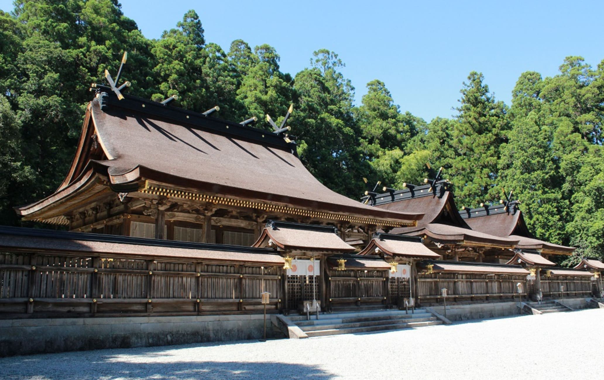 Hongu