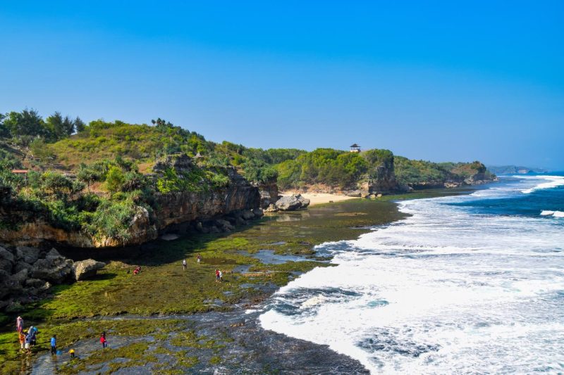 19 Pantai Di Gunungkidul Jogja Wajib Kunjung! - Pantai Kukup 19 Pantai Di Gunungkidul Jogja Wajib Kunjung! - Pantai Kukup